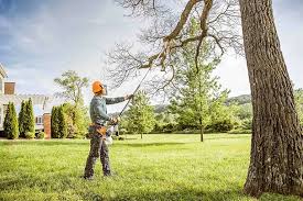 How Our Tree Care Process Works  in  Greenwood, PA